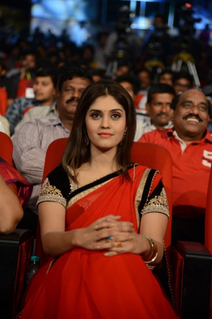 Express-Raja-Audio-Launch